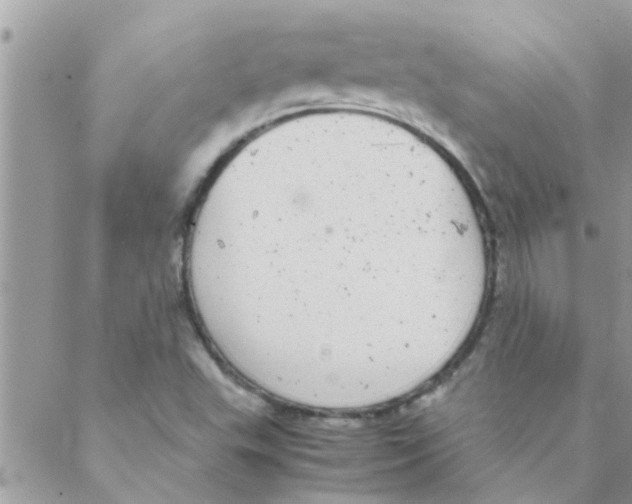 X0000088231503200706121843