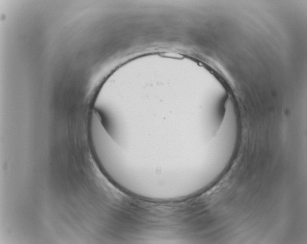 X0000088231504200706121843