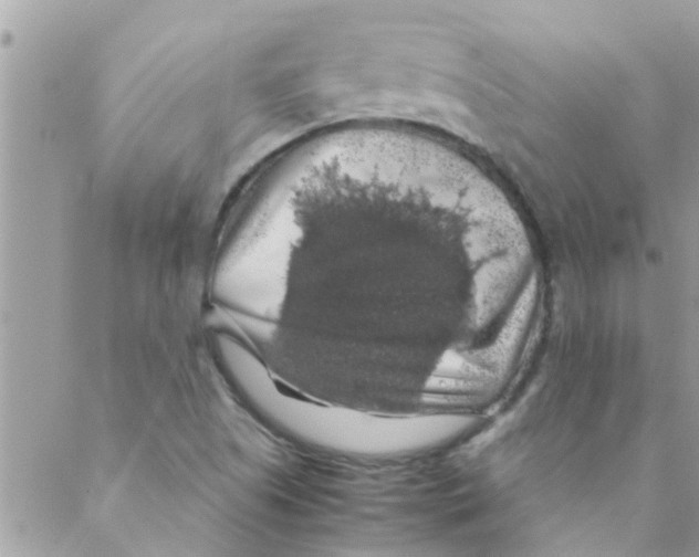 X0000088231505200706121843