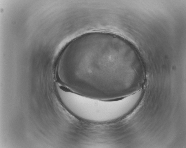 X0000088231506200706121843