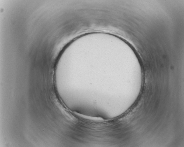 X0000088231507200706121843