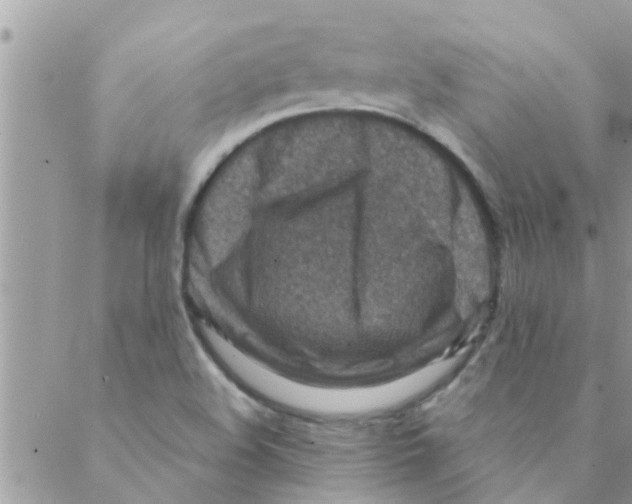 X0000088231508200706121843