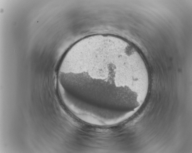 X0000088231509200706121843