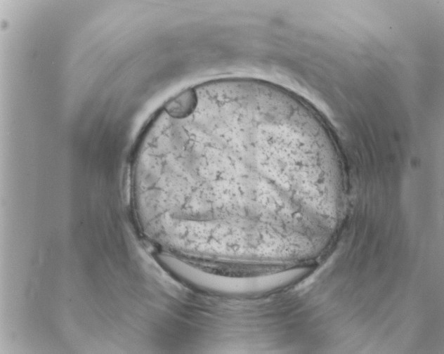 X0000088231510200706121843