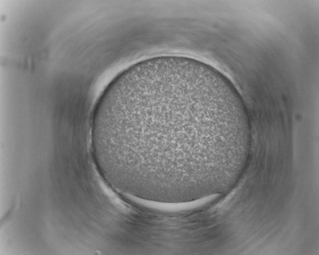 X0000088231511200706121843