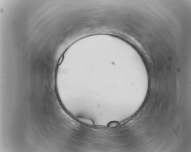 X0000088231512200706121843