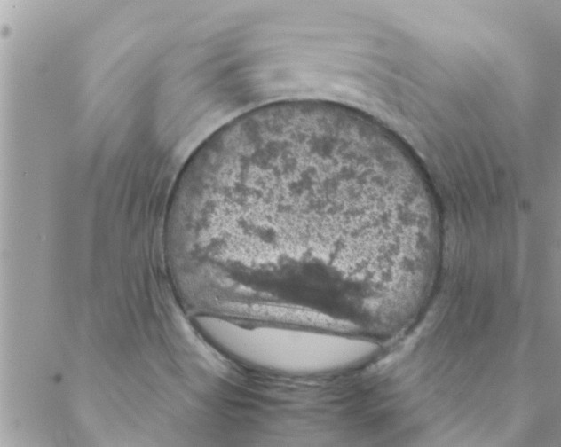 X0000088231513200706121843