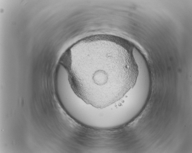 X0000088231514200706121843