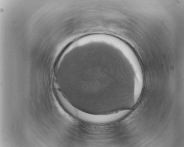 X0000088231515200706121843