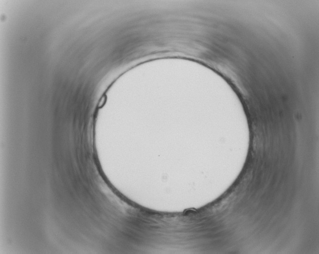 X0000088231516200706121843