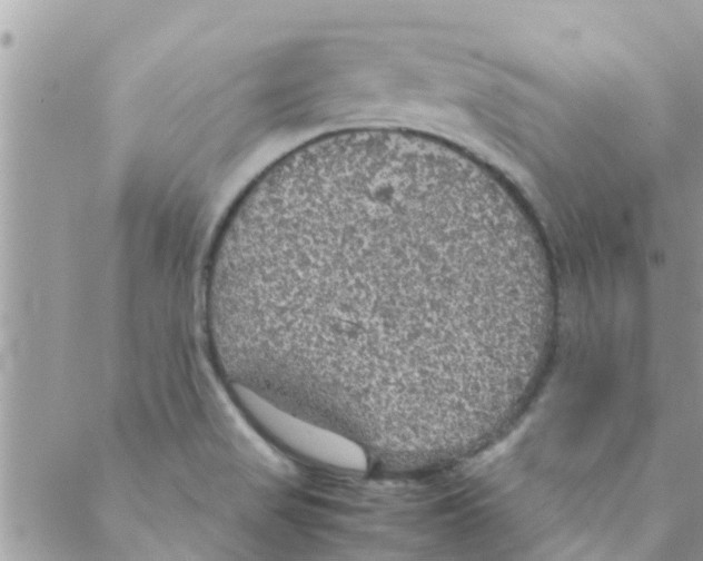 X0000088231517200706121843