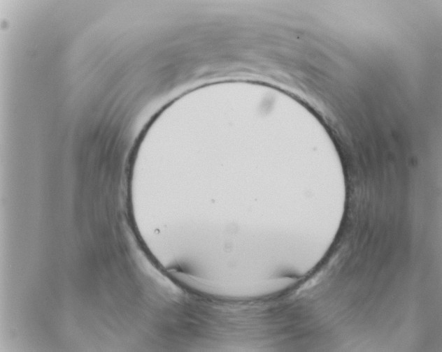 X0000088231518200706121843