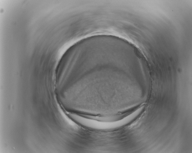 X0000088231519200706121843