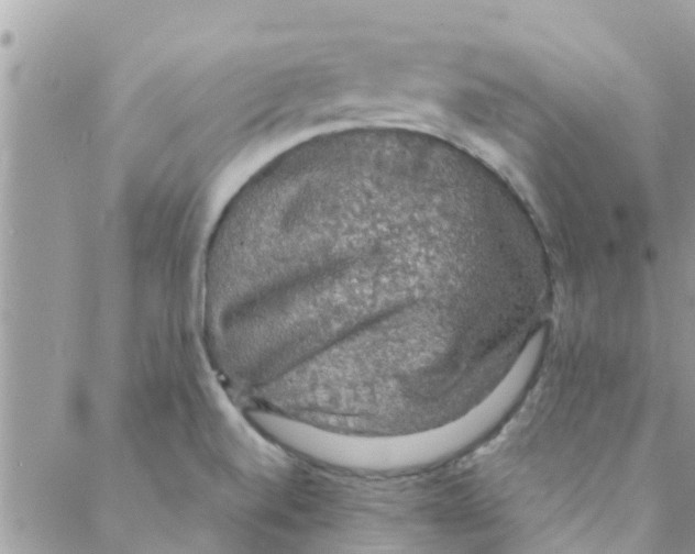 X0000088231520200706121843