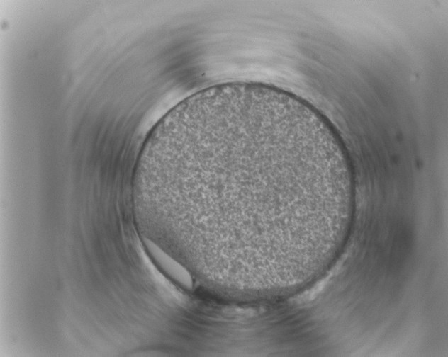 X0000088231521200706121843