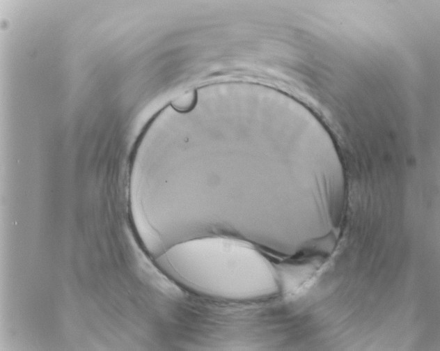 X0000088231522200706121843