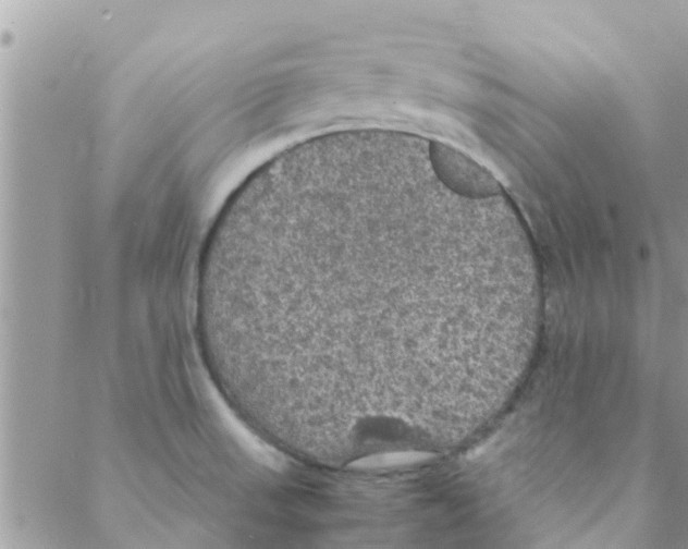 X0000088231523200706121843