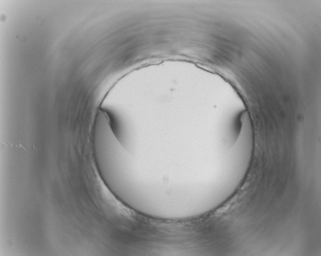 X0000088231524200706121843