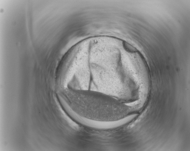 X0000088231525200706121843