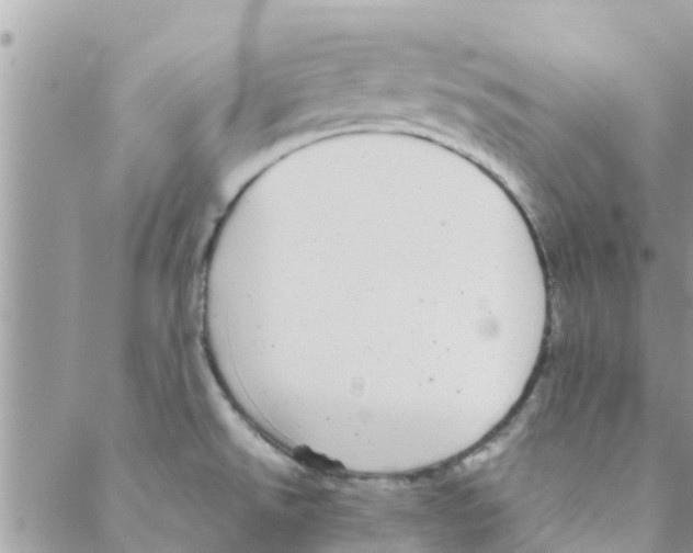 X0000088231526200706121843