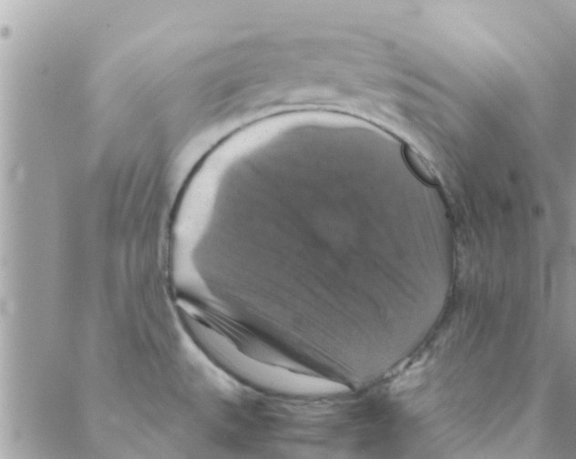 X0000088231527200706121843