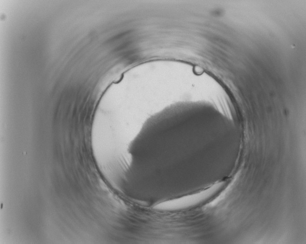 X0000088231529200706121843