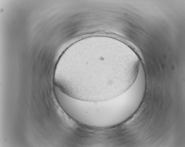 X0000088231530200706121843