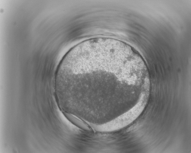 X0000088231531200706121843