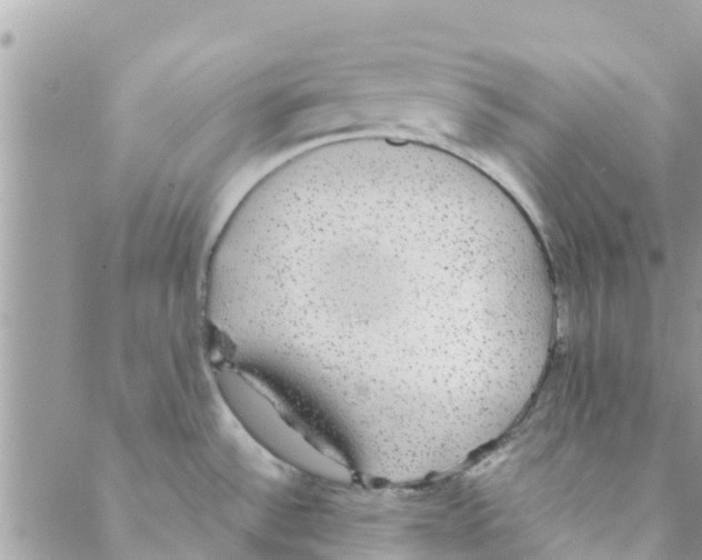 X0000088231532200706121843