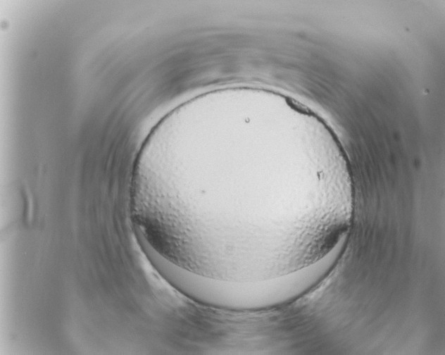 X0000088231534200706121843