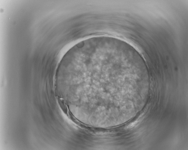 X0000088231535200706121843