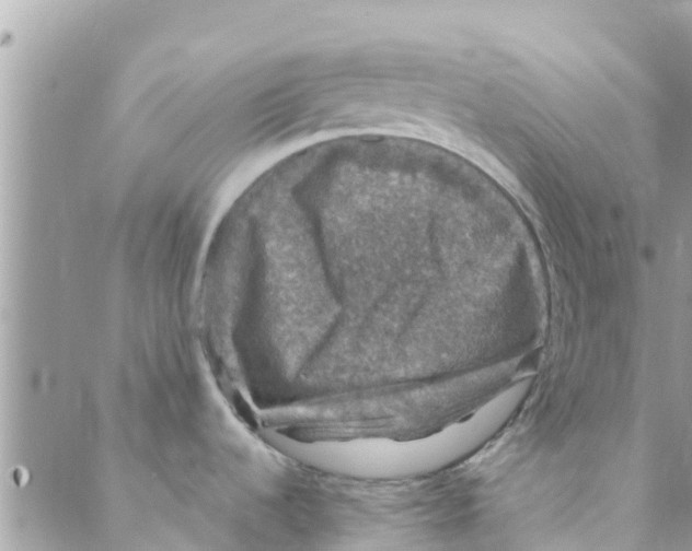 X0000088231536200706121843