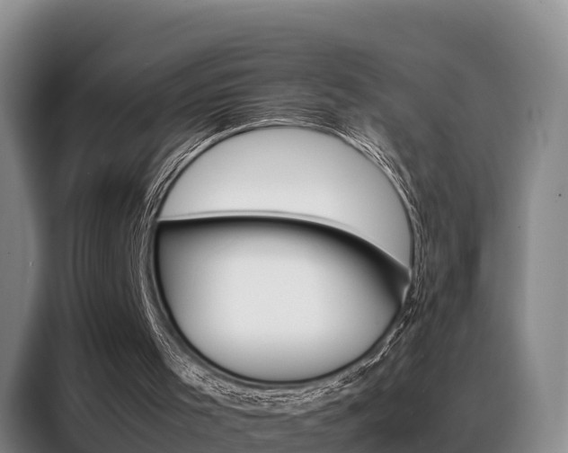 X0000088360001200705220742