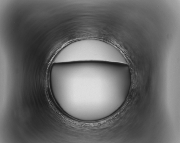 X0000088360002200705220742