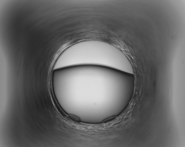 X0000088360003200705220742