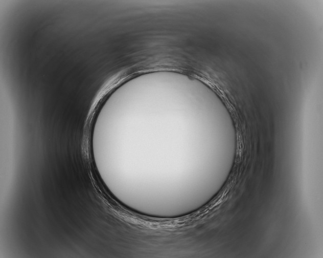 X0000088360004200705220742