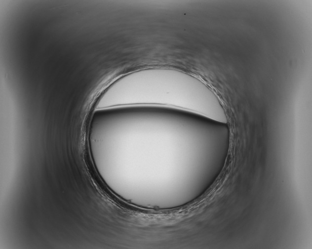 X0000088360005200705220742