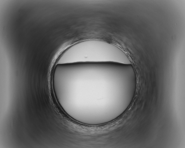 X0000088360006200705220742