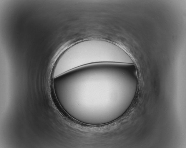 X0000088360007200705220742