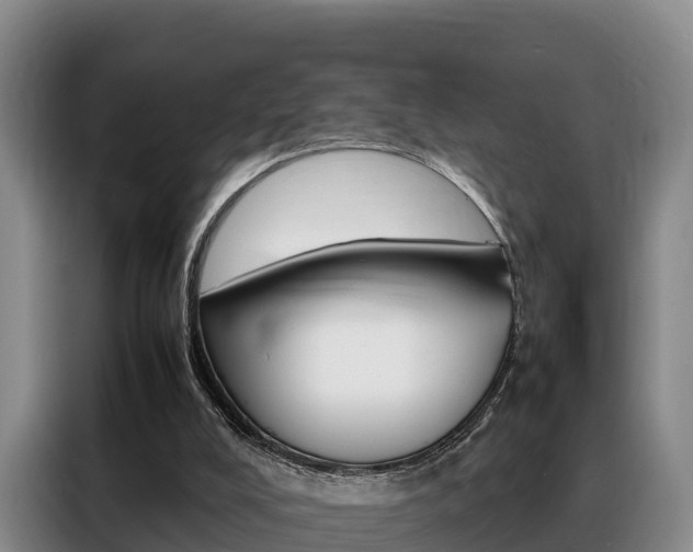 X0000088360008200705220742