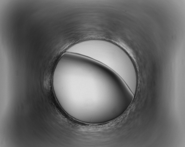 X0000088360009200705220742