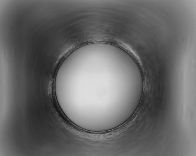 X0000088360010200705220742