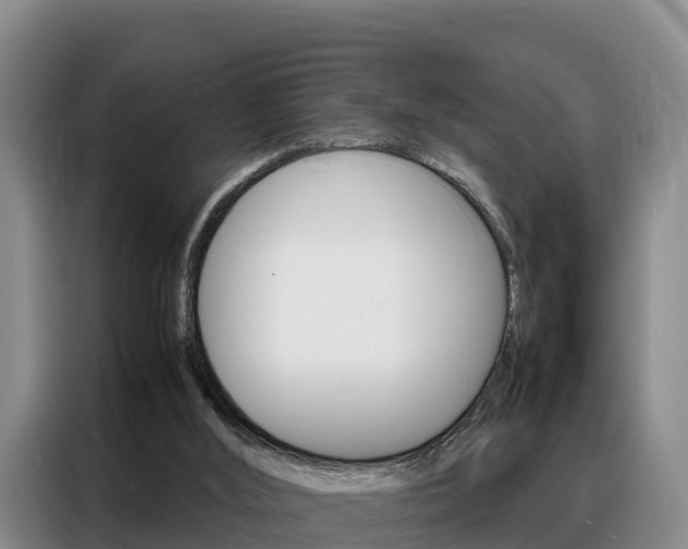 X0000088360012200705220742