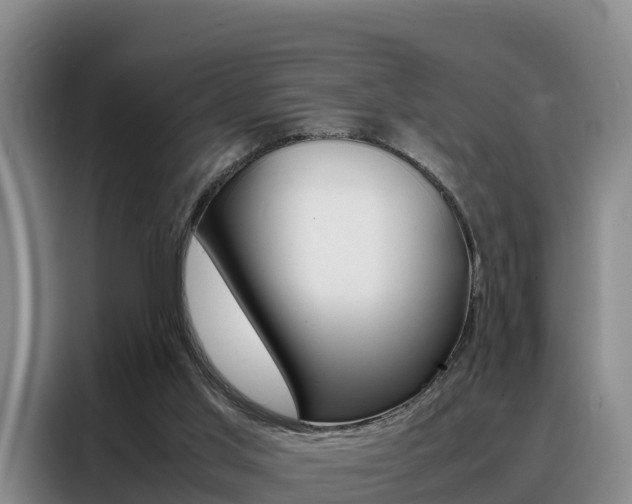 X0000088360013200705220742