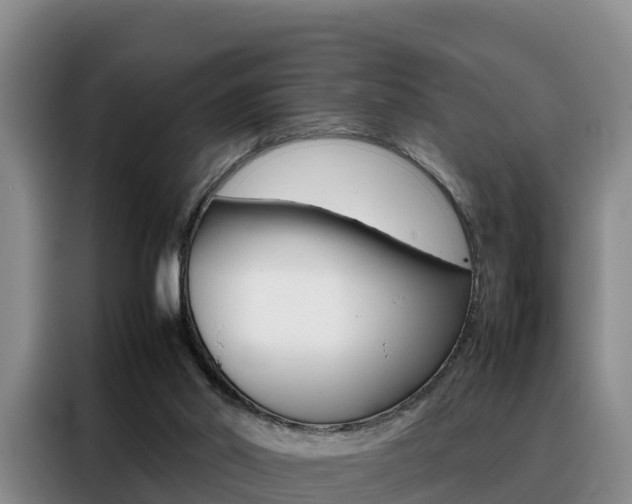X0000088360014200705220742