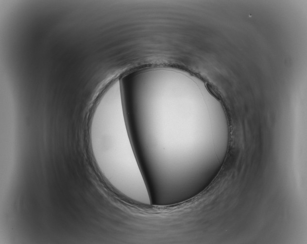 X0000088360015200705220742