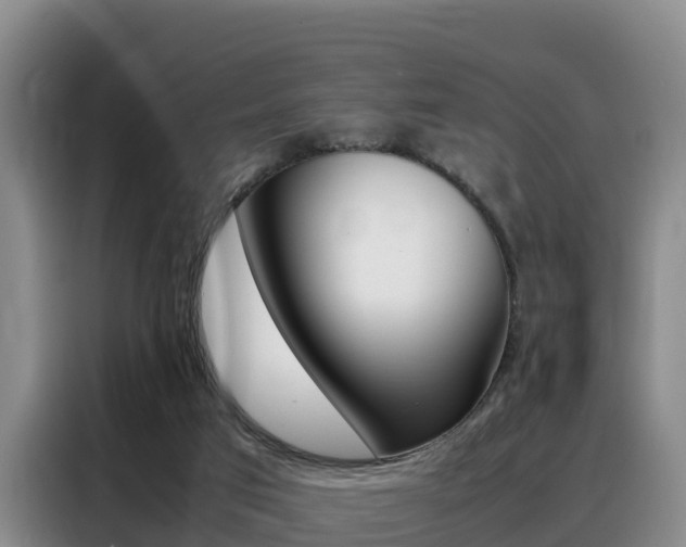 X0000088360017200705220742
