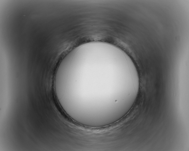 X0000088360018200705220742
