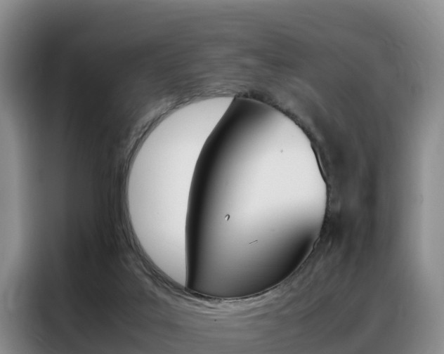 X0000088360019200705220742