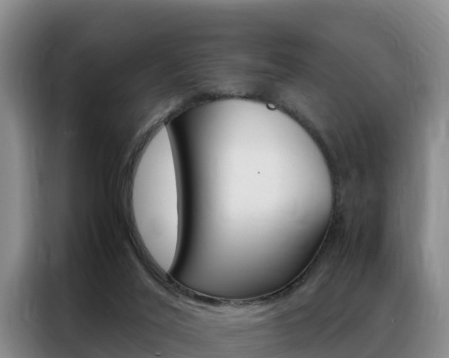 X0000088360020200705220742